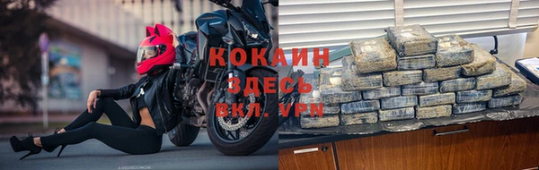 дживик Аркадак