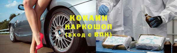 дживик Аркадак