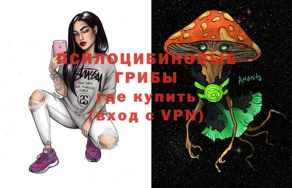 прущие крисы Алзамай
