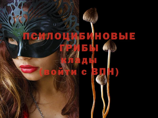 дживик Аркадак