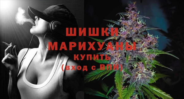 дживик Аркадак