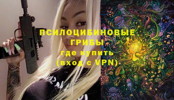 дживик Аркадак