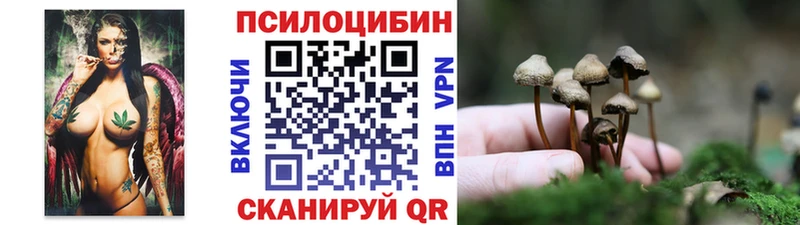 Галлюциногенные грибы Psilocybe  Судак 